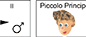 Il Piccolo Principe