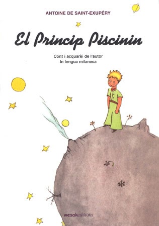 El Princip Piscinin