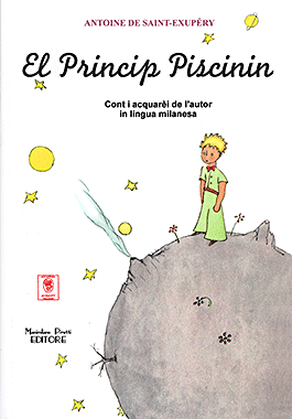 El Princip Piscinin